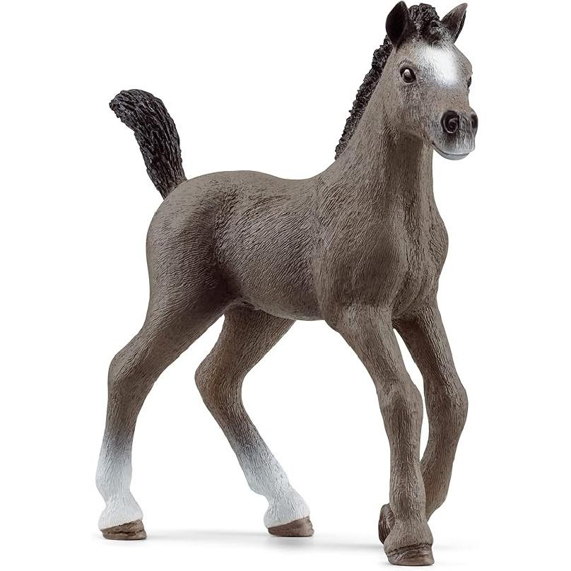 

Schleich Лошади 2023, Конный клуб, Игрушки-лошади для девочек и мальчиков Французская верховая лошадь Жеребенок Игрушка-фигурка, Возраст 5+ Cheval de Selle Francais
