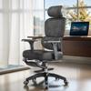 YouShu Ergonomic Office Chair