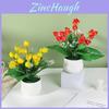 Fruit Tree Miniature Potted Plants For Home Decor With Creative Tabletop Display