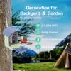 Smart Solar Bird Feeder Camera with Custom Hummingbird Feeder