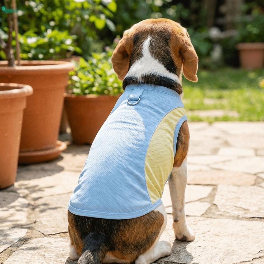 Breathable Mesh Dog Cooling Vest Comfortable Quick Drying Pet Summer Clothes with D Ring Lightweight Pet Cooling T-shirts Hiking