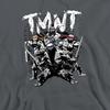 Teenage Mutant Ninja Turtles Mens TMNT Team Hoodie
