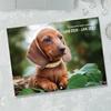 2026 Funny Dog Wall Calendar 12 Month Cute Animal Lovers Decor Spiral Bound Thick Paper Decorative Gift for Pet Owners Office Humor Monthly Layout