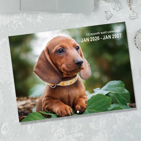 2026 Funny Dog Wall Calendar 12 Month Cute Animal Lovers Decor Spiral Bound Thick Paper Decorative Gift for Pet Owners Office Humor Monthly Layout