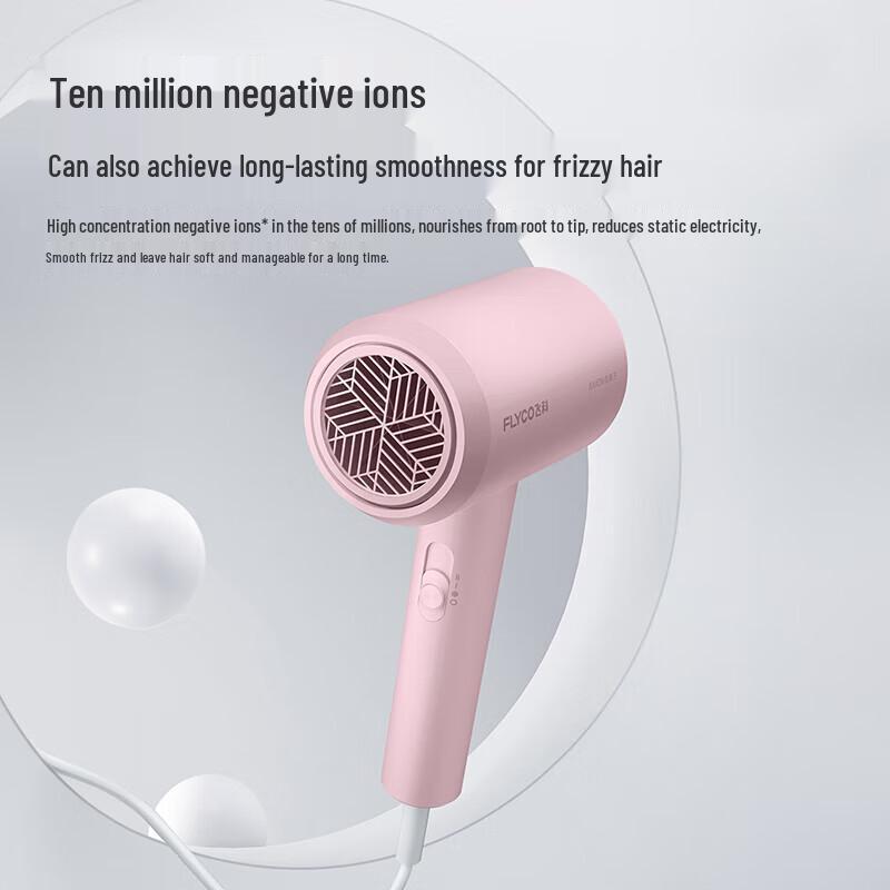 FLYCO FH6291 Negative Ion Hair Dryer CN plug (adapter included)