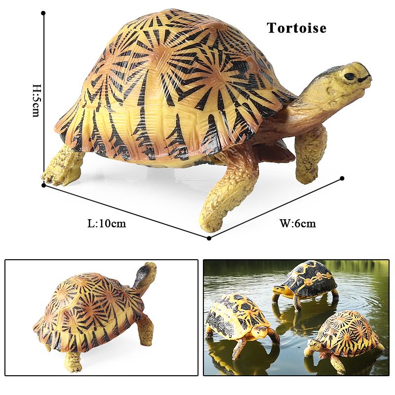 Oenux Sea Life Animals Model Leatherback Tortoise Turtle Growth Cycle Ocean Figurines Action Figures PVC Collection Kid Toy Gift