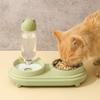 Dual Purpose Cat Drinking Bowls Spill Proof Cat Feeding Bowl Cat Double Bowl  Home