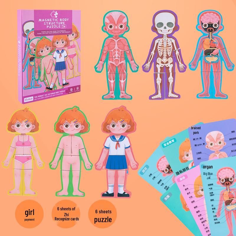 

Монтессори Магнитный пазл «Органы тела человека» для детей - Обучающая игрушка для раннего развития