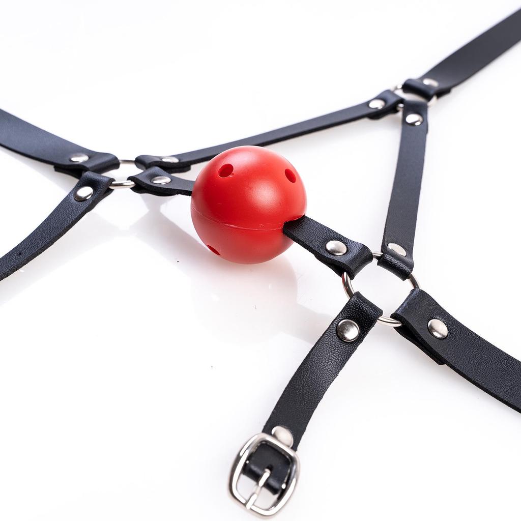 Ice Adult Red Ball Gag: Erotic Mesh Mouth Plug and Training Restraint
