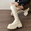 Thick-soled simple black v-mouth thin thick-soled boots women's 2025 new autumn small tall knight boots