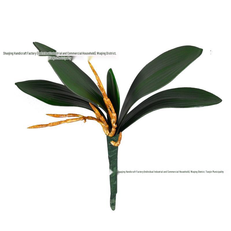 Artificial Phalaenopsis Leaf for Bonsai and Flower Arrangement Décor