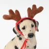 Cat Christmas Headband Dogs Party Costume Dog Headdress Dressing Up Headwear Festival Headpiece Photo Props for Puppy