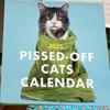 2025 Pissed-off Cats Calendar Stylish Gift Choice For Cat Enthusiasts And Collectors