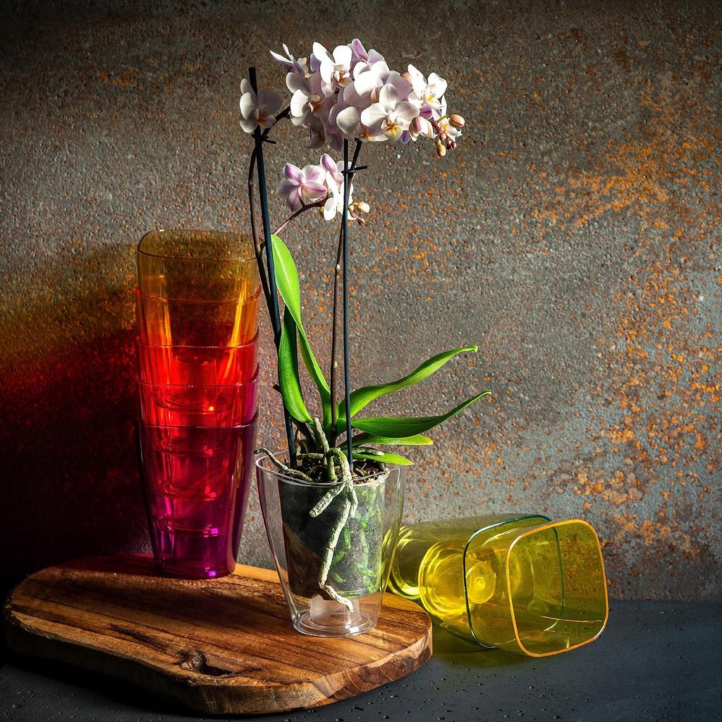 KADAX Pot Cover for Orchid Flower Pot Plastic Flowers