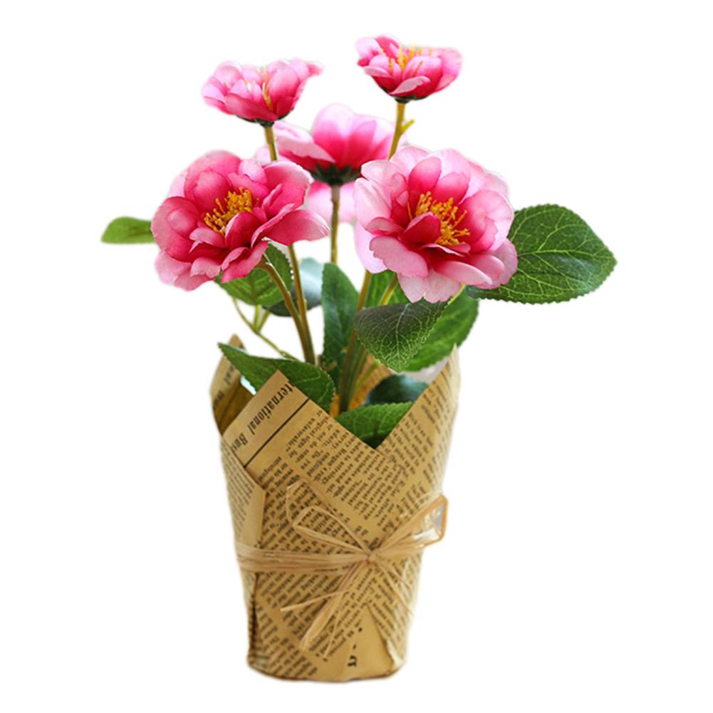 

Красивый цветок розы, яркие цвета, изысканное мастерство