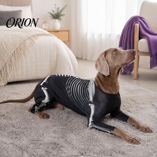 Comfortable Dog Outfit for Party Skeleton Costume, Print Four-legged Outfit, Spooky Funny Suit Cool Pullover Shirt Halloween Cosplay Costume
