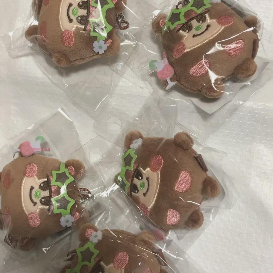 Riize Shotaro Concert 7cm Md Tanning Rizko Summer Version Sell 