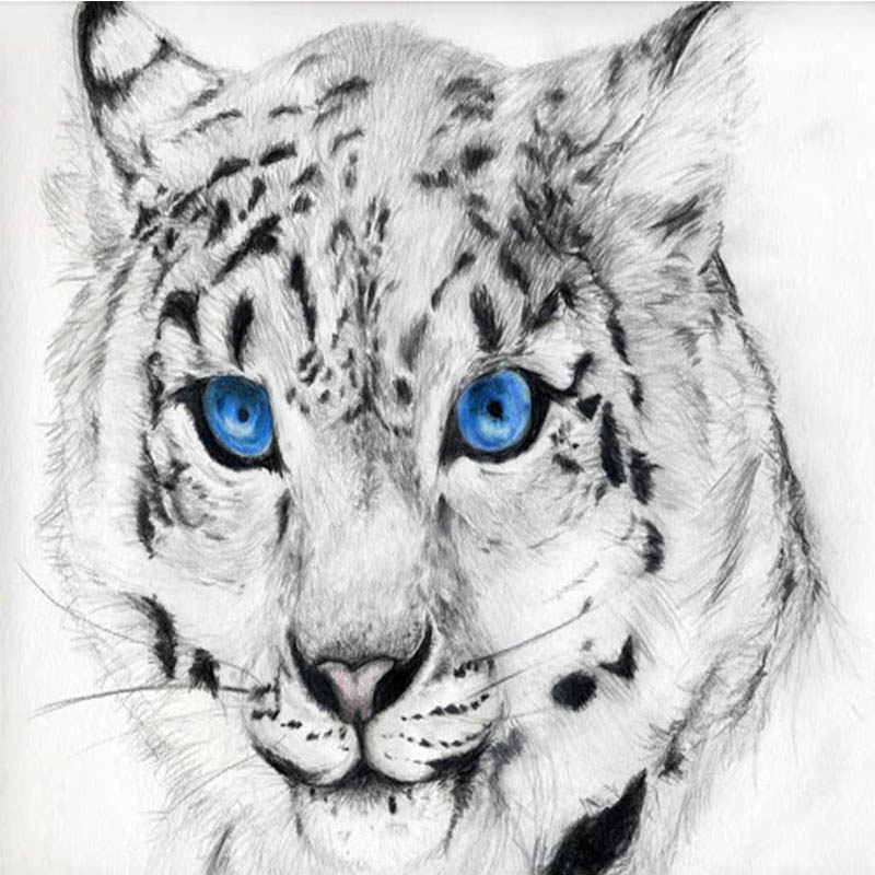 

5D DIY Алмазная картина Тигр животное вышивка крестиком полная круглая дрель Смола Мозаика Алмазная художественная вышивка подарок ручной работы Full Round 20x20CM