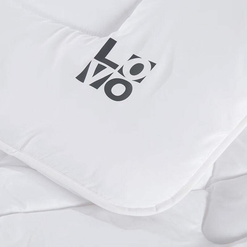 LOVO Silky Soft Spring Autumn Quilt