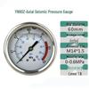 Jingmian YN60Z Axial Pressure Gauge (CN Version)