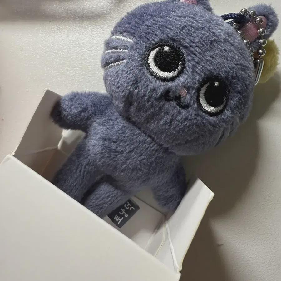 

Riize Tonyangdeok Long Bridge Sell