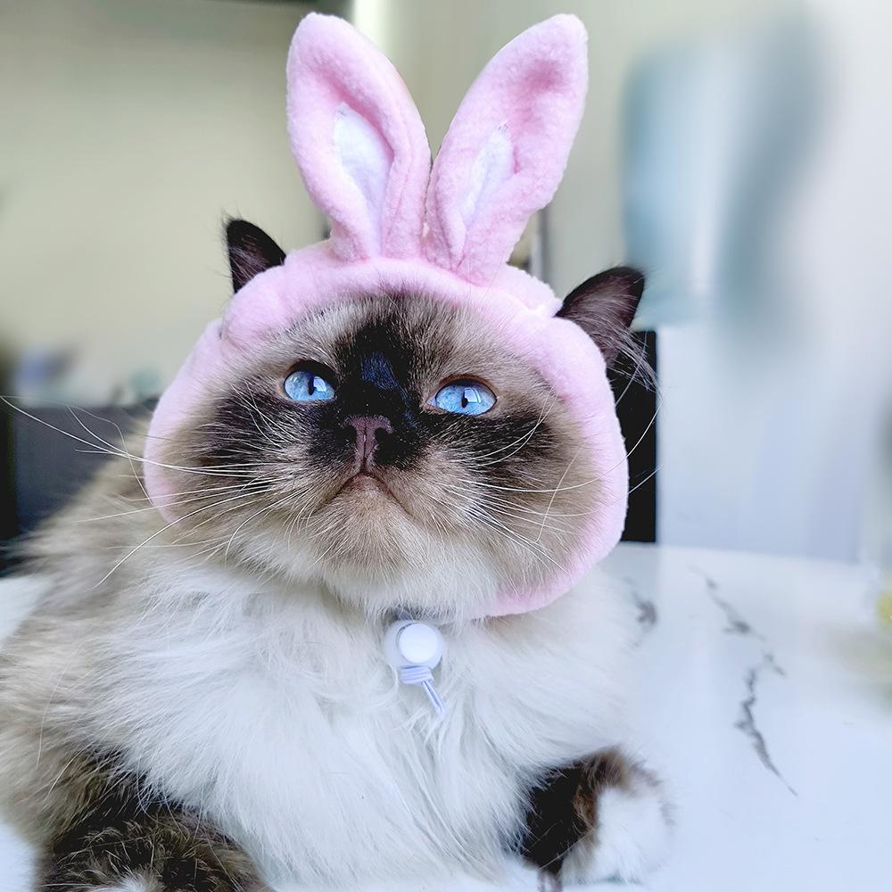 Pet Hood Cute Dog Teddy Dress Up Sunflower Cat Headgear Wig Cat Hat