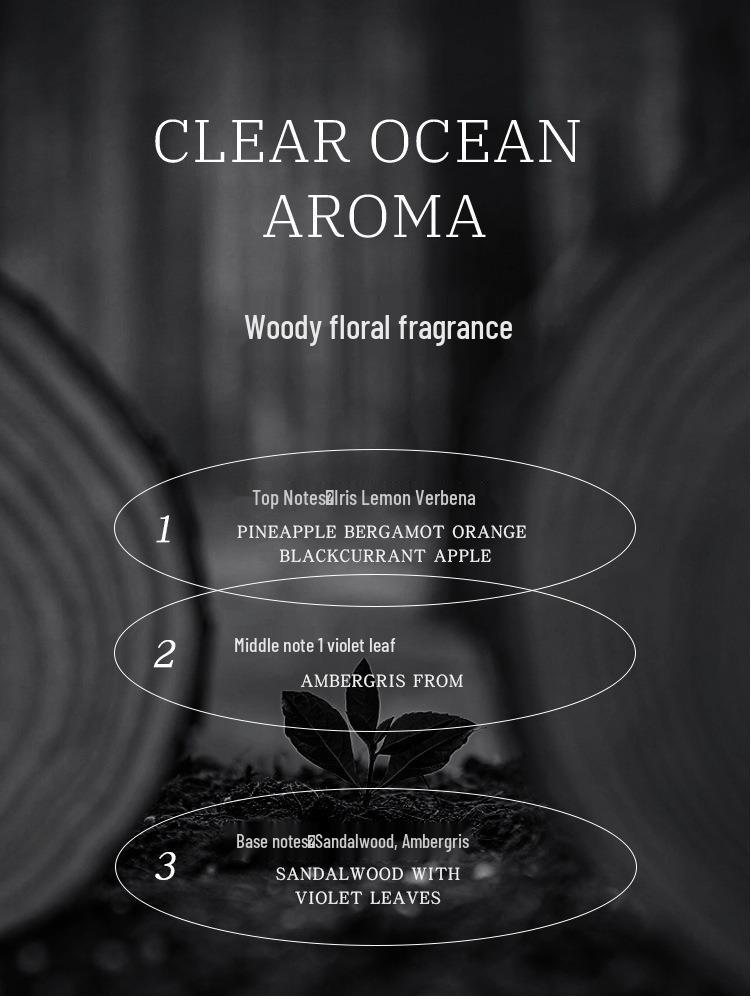 Napoleon Marine Scent Men's Eau De Toilette - Fresh, Long-lasting Silver Spring, 100ML