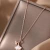 925 Sterling Silver Ginkgo Leaf Necklace - High-End Light Luxury 2024 Fashion Clavicle Chain for Women