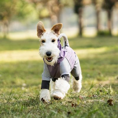 Bekleidung & Schuhe – Regenmäntel für Hunde