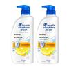 Head & Shoulders Anti-Dandruff Oil Control Shampoo