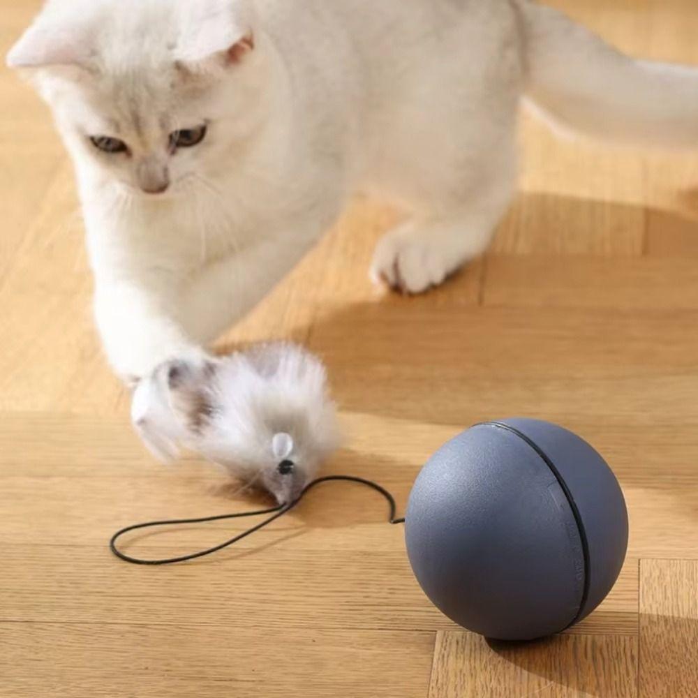 Interactive Automatic Electric Cat Toy Simulated Tail Cat Ball Toys  Cats Kittens Teasing