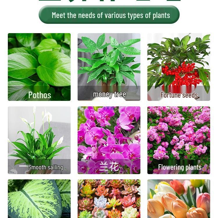 Hydroponic Nutrient Fertilizer for Indoor Green Plants, Lucky Bamboo, Money Trees, Flowers, and Vegetables In Potted Soil.