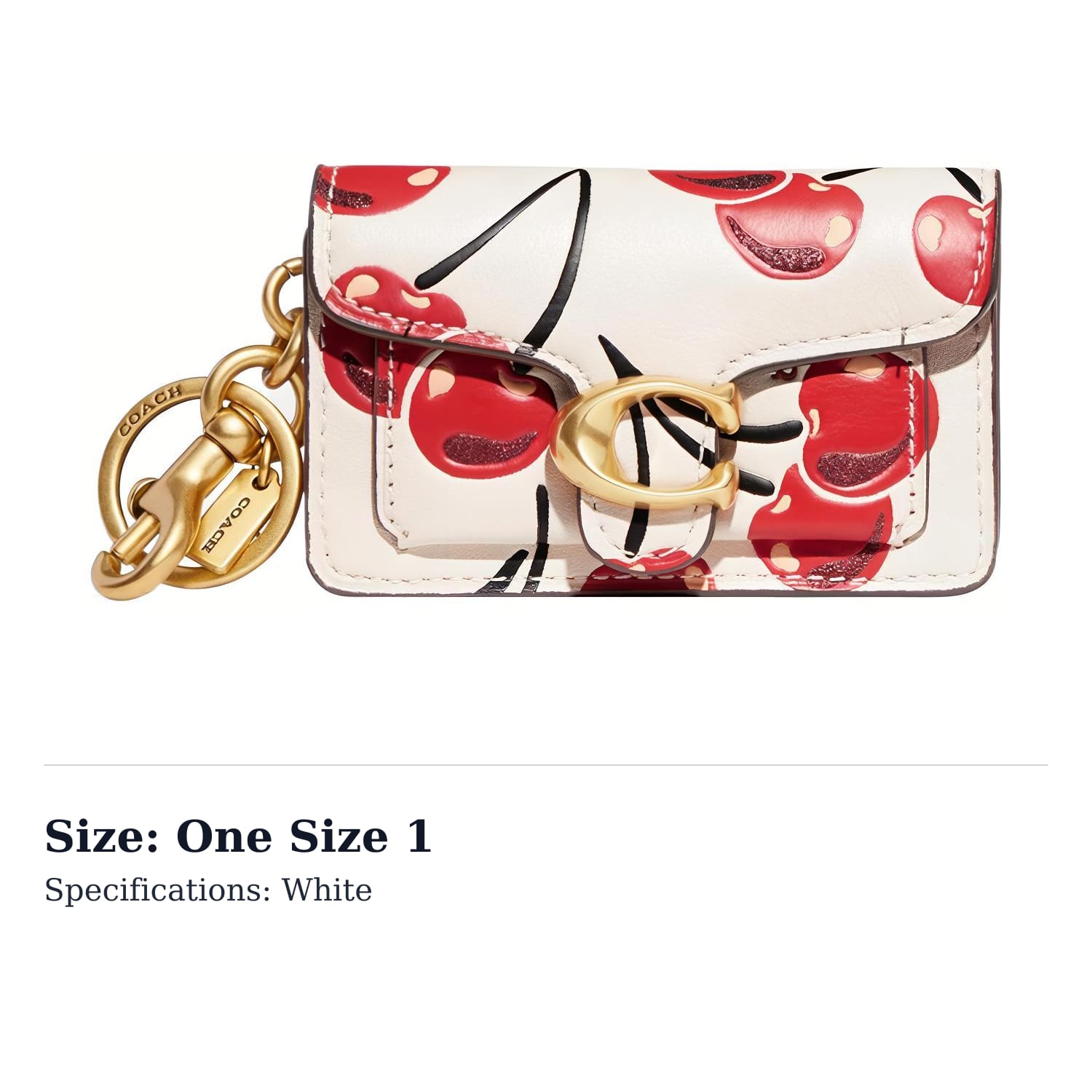 COACH Leather Bag Charm Bag Accessory