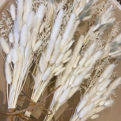 Dried Bouquet Rabbit Tail Grass Small Reed Dried Branches Dried Flowers Decorative Dried Flowers Bouquet