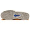 Nike SB Vertebrae Beige Skateboard Shoes FD4691-102