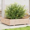 VidaXL Planter 100x100x26.5 Cm Solid Pine Wood, Outdoor Planter, Flower Box, Plant Box, Planter 847318