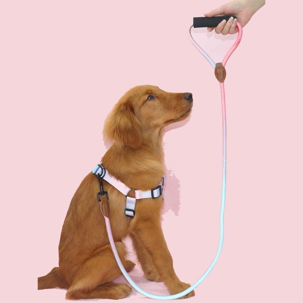 Pet Dog Leash, Gradient Color with Comfortable Padded Handle, Suitable for Small and Medium Dogs Outdoor Use