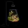 Micro Landscape Plant Growth Lamp with Timmer Height Adjustable Flicker Free Sunlight-like Spectrum
