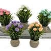 Nordic Daisy Artificial Potted Plant for Office and Home Decor