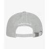 The North Face Logo Ball Cap Ne3cs00l Gray