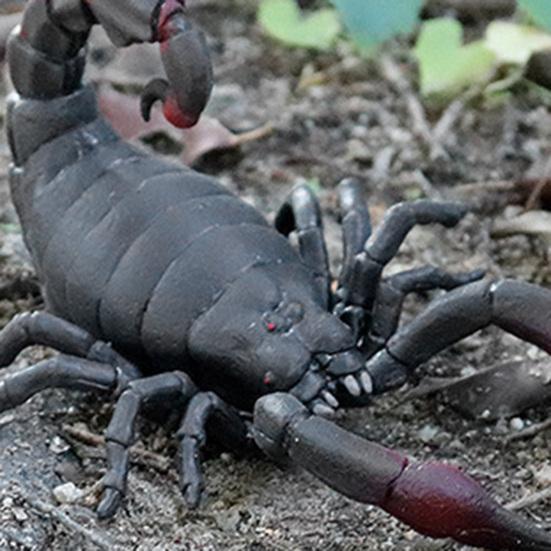 Decompression Toy Stress Relieve Stretchy Multi-purpose Sensory Fidget Scorpion Squeeze Toy for Relax