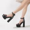 Fashion Summer Nightclub Pole Dancing Shoes Platform Shoes 14CM Party Rivet Ankle Strap Sandal Women Model Extreme High Heels Sandals