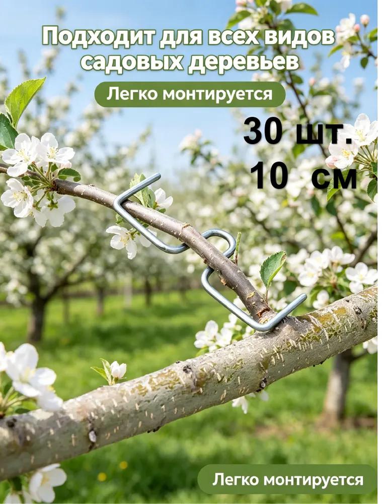 Plant support 40 cm x 3 cm 10 pcs