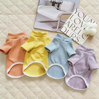 Abbigliamento e scarpe – Maglioni per cani
