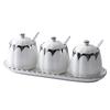 Creative Ceramic Kitchen Spice Jar Set - Salt and Seasoning Storage