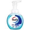 Walch Foaming Antibacterial Hand Sanitizer