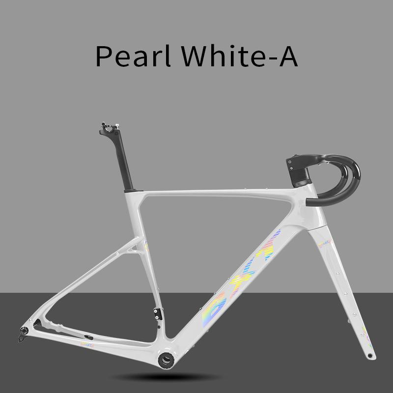 BXT 2026 New Gravel frameset Disc