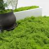 Artificial Moss Silk Grass Lawn for Landscaping and Decoration