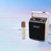 Edifier P205 Wireless Portable Bluetooth Speaker CN Plug (adapter Included)