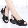 Mesh Sandals Women's High Heeled Fish Beak Sandals Hollowed Out Soft Soles and Thick Heels Work Shoes Summer